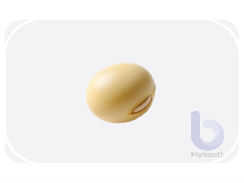 Soybean